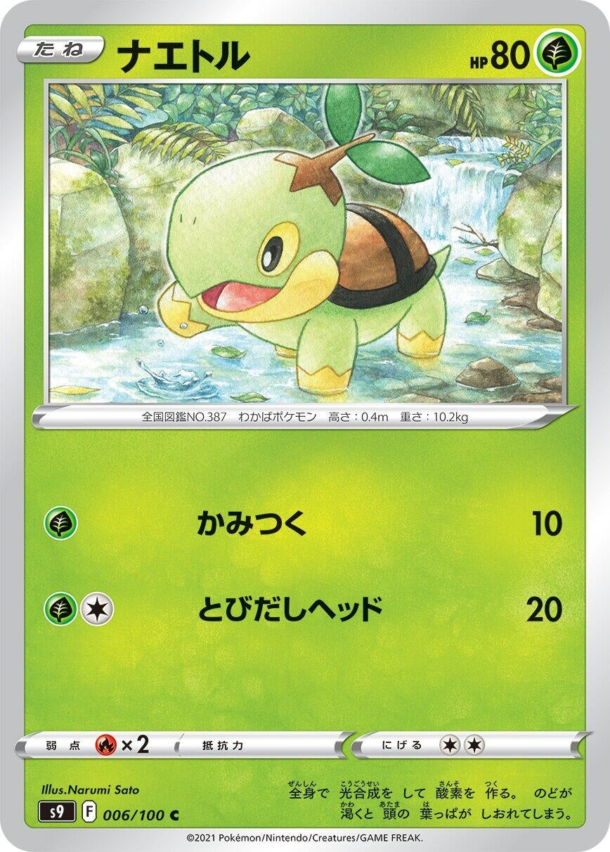 Turtwig (006/100) (S9: Star Birth)