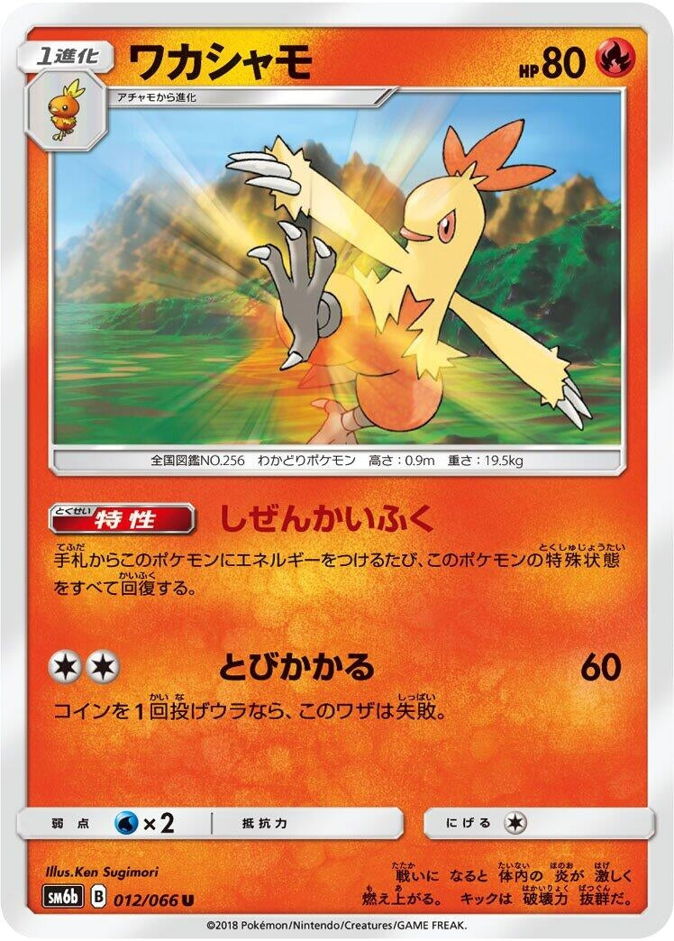 Image for Combusken (012/066) (SM6b: Champion Road) - Pokemon Japan