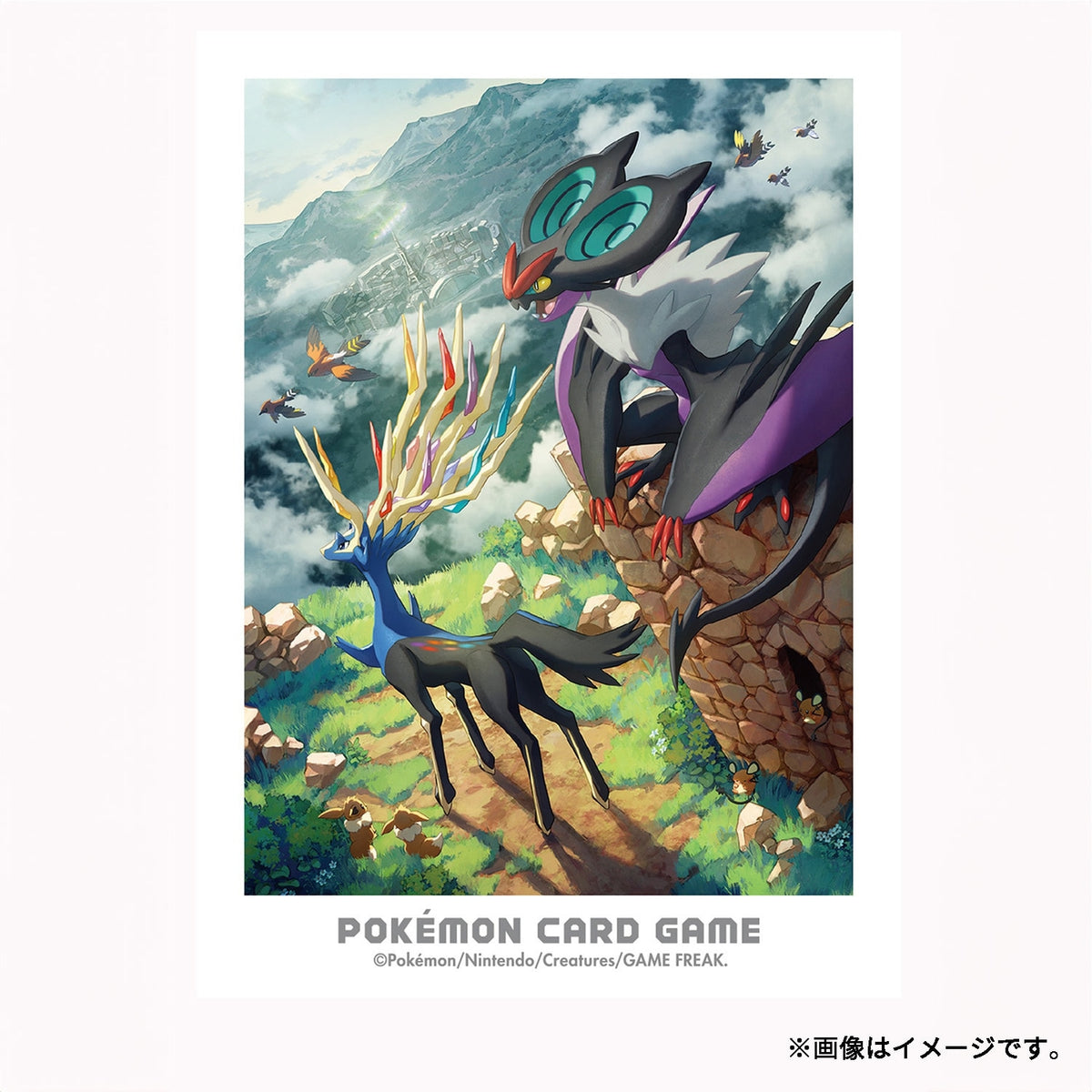 Pokémon Trading Card Game Deck Shield: Kalos Adventure - Xerneas & Noivern