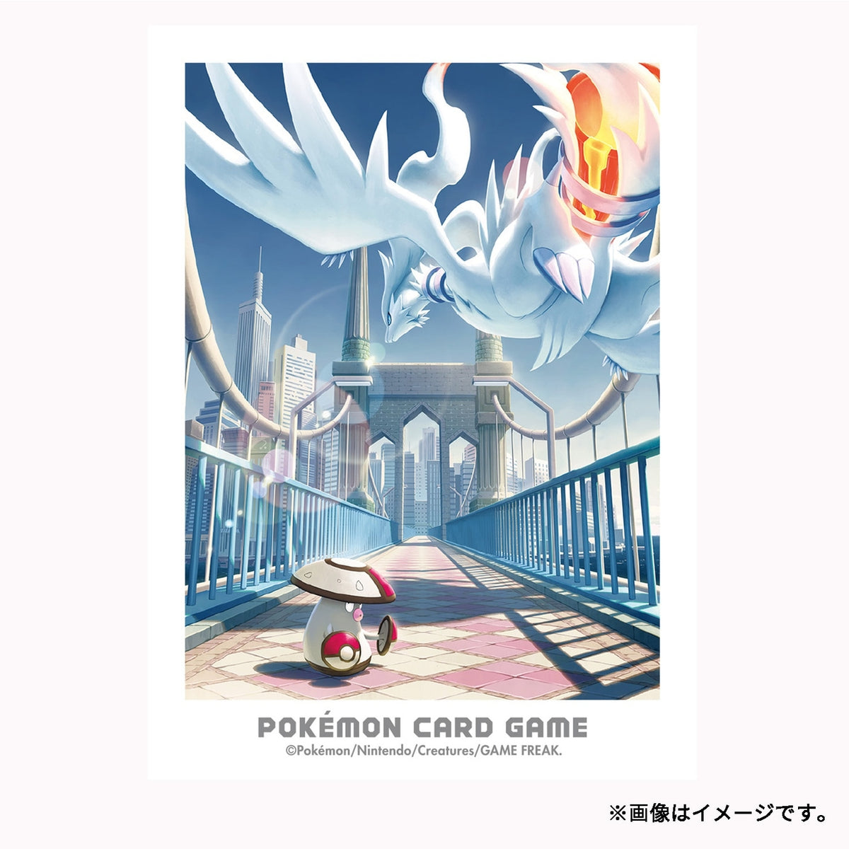 Pokémon Trading Card Game Deck Shield: Unova Adventure - Reshiram & Amoonguss