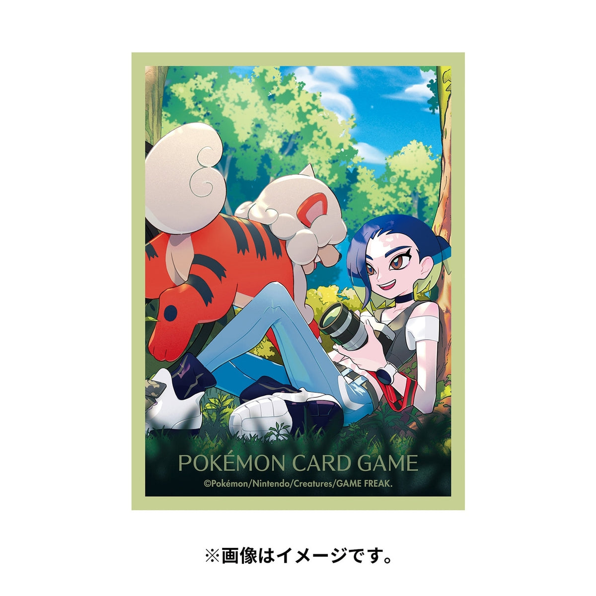 Pokémon Trading Card Game Deck Shields Perrin Hisuian Growlithe